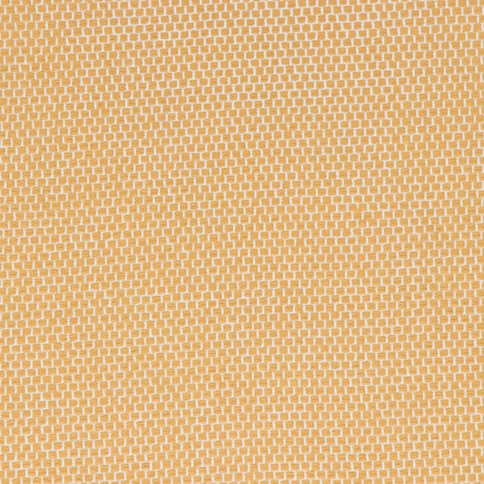 Anafi Goldenrod