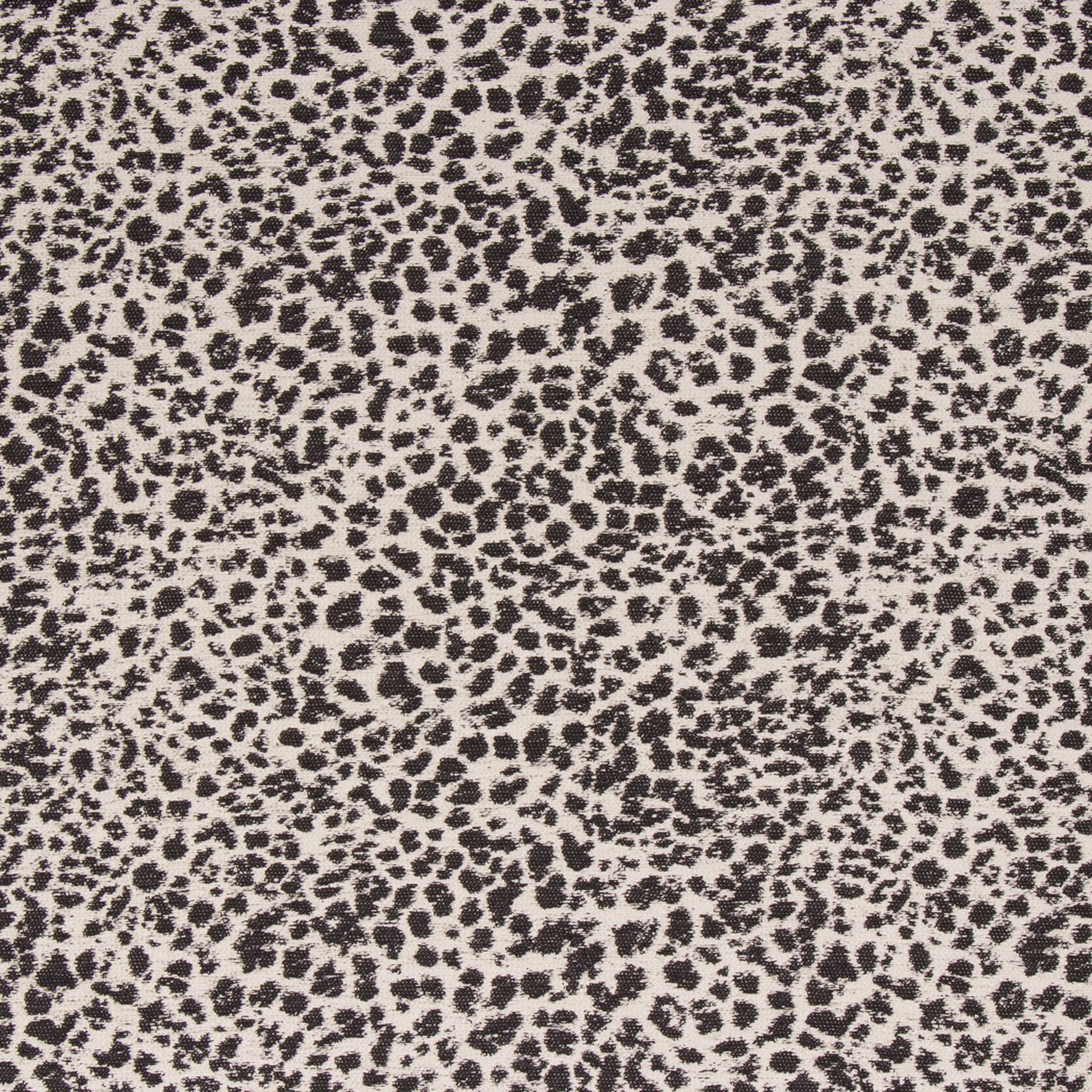 Animal Magnetism Onyx - Fabricforhome.com