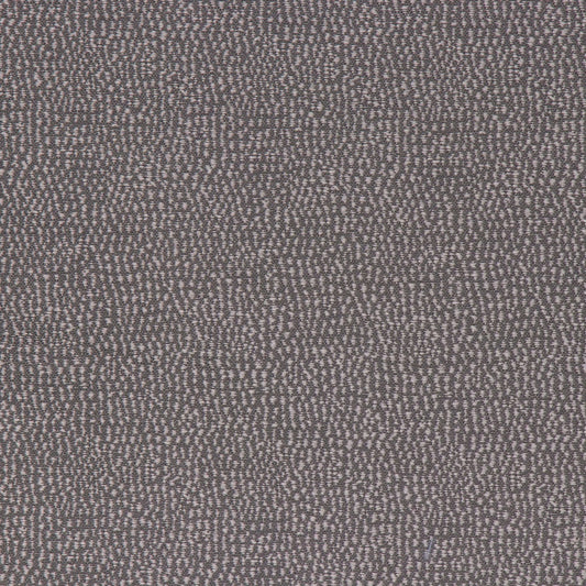 Astoria Charcoal