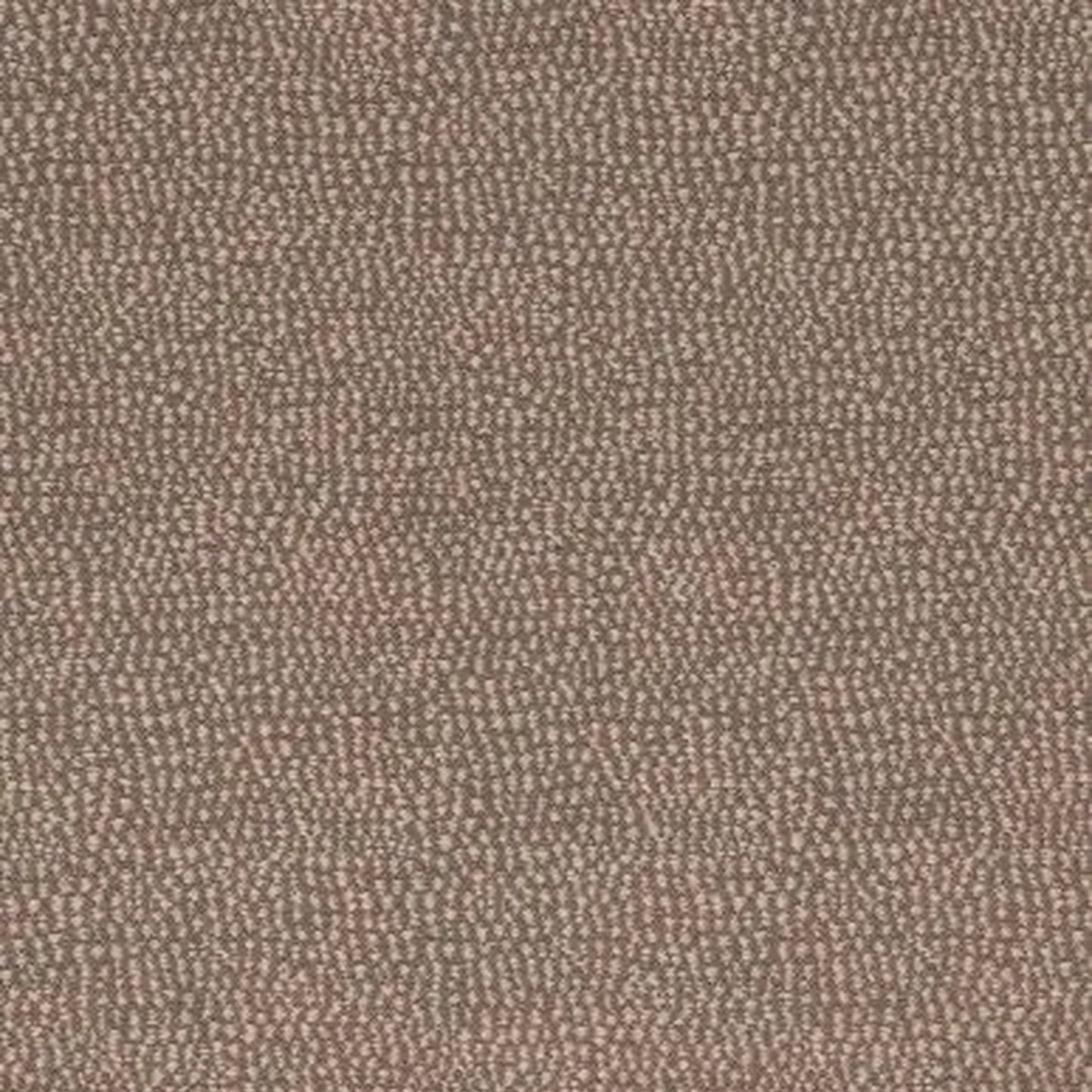 Astoria Walnut