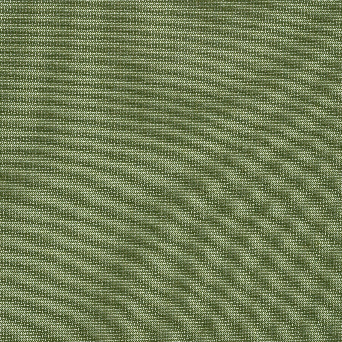 Bliss Aloe - Fabricforhome.com