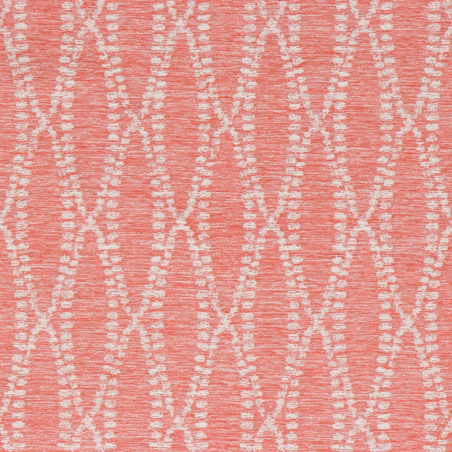 Camber Coral