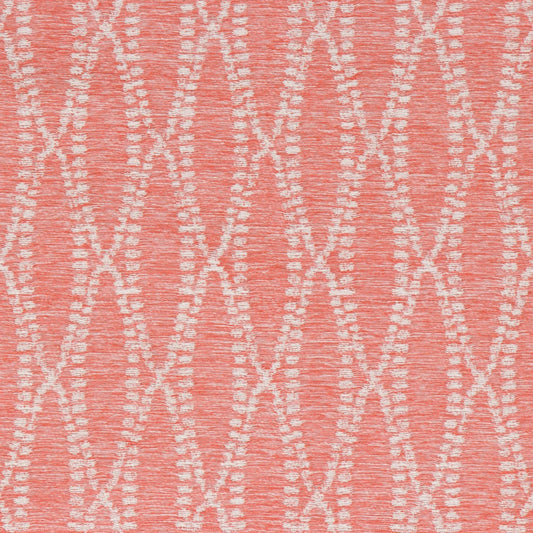 Camber Coral