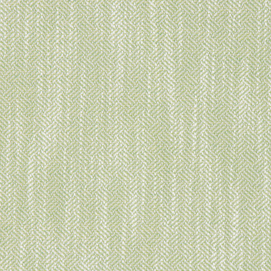 Catskill Celery