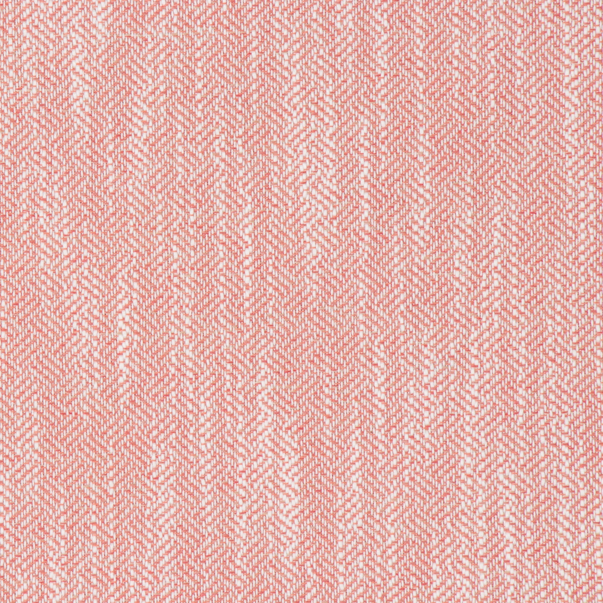 Catskill Guava - Fabricforhome.com