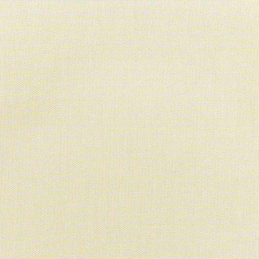 Canvas Birds Eye - Fabricforhome.com