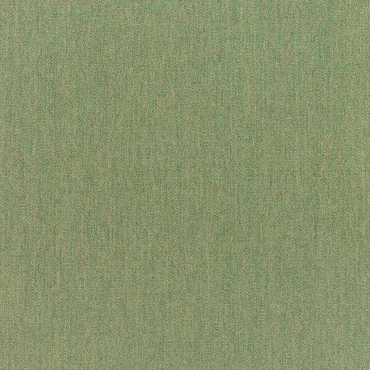 Canvas Fern - Fabricforhome.com