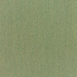 Canvas Fern - Fabricforhome.com - Your Online Destination for Drapery and Upholstery Fabric