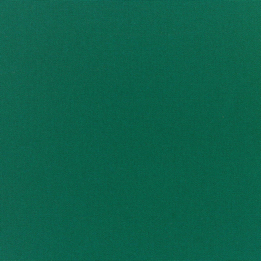 Canvas Forest Green - Fabricforhome.com