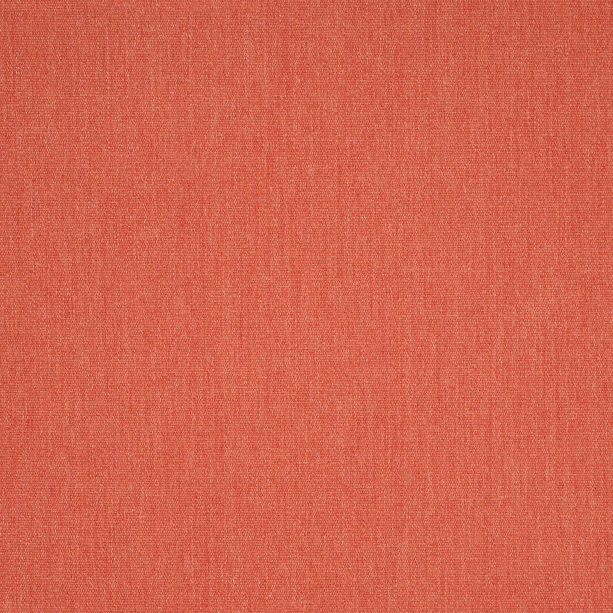 Canvas Persimmon - Fabricforhome.com