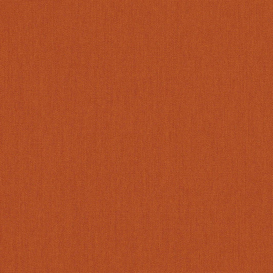 Canvas Rust
