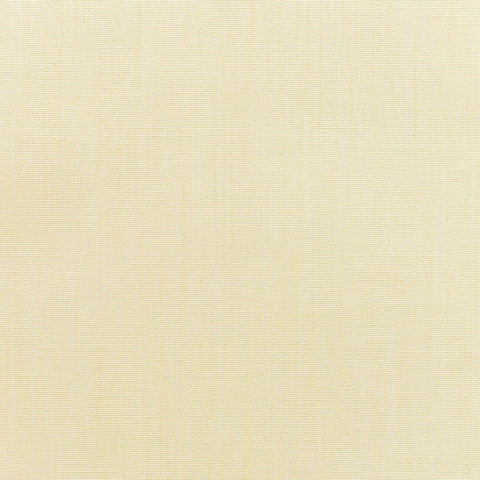 Canvas Vellum - Fabricforhome.com