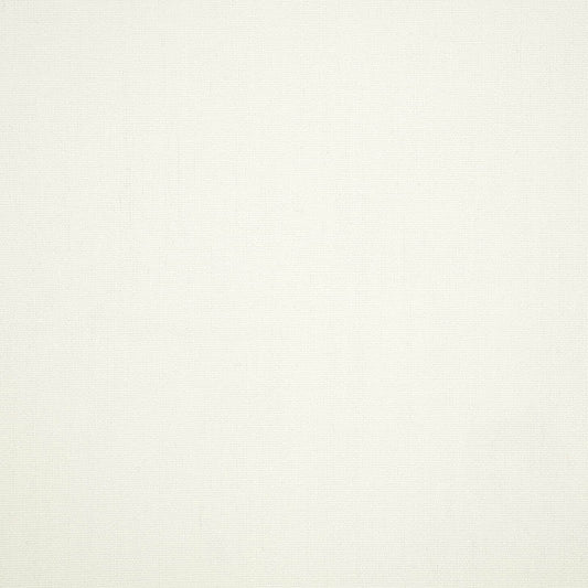 Canvas White - Fabricforhome.com