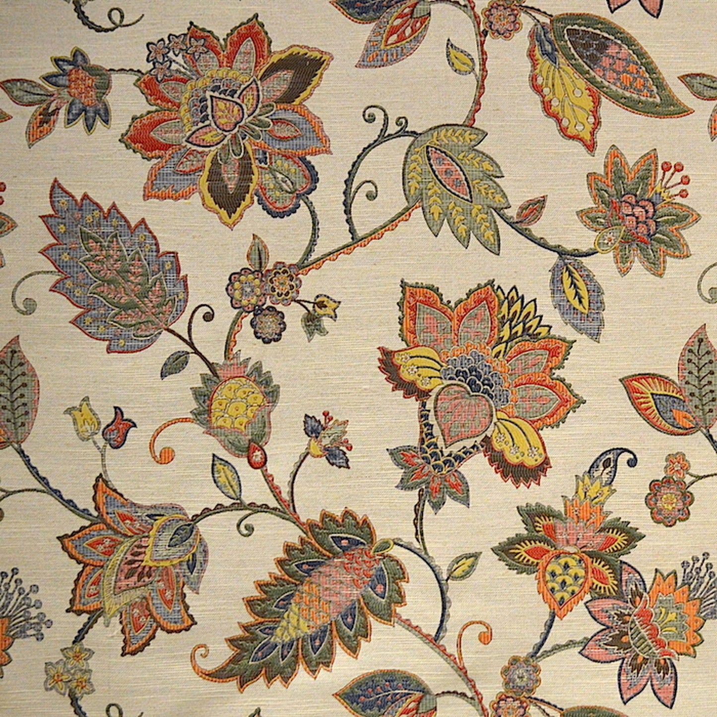 Donna Multi