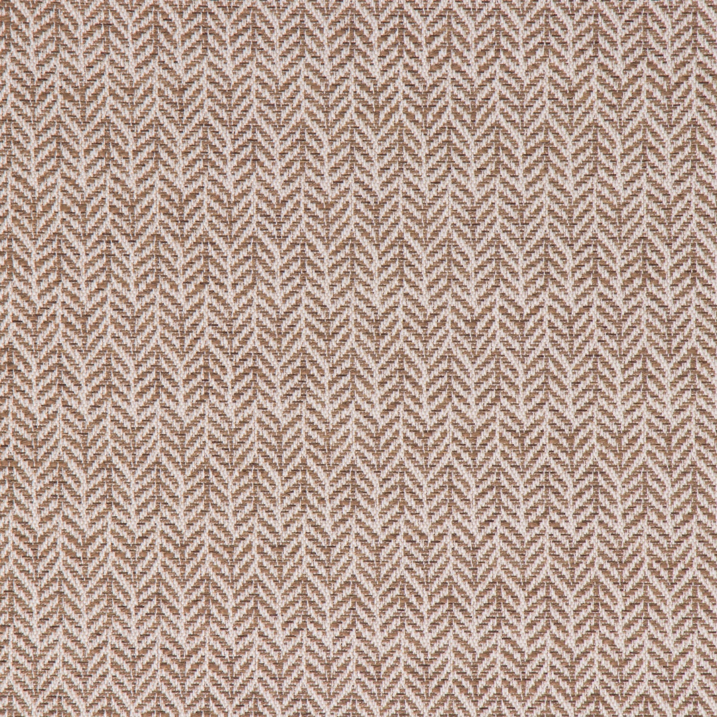 Festoon Birch - Fabricforhome.com