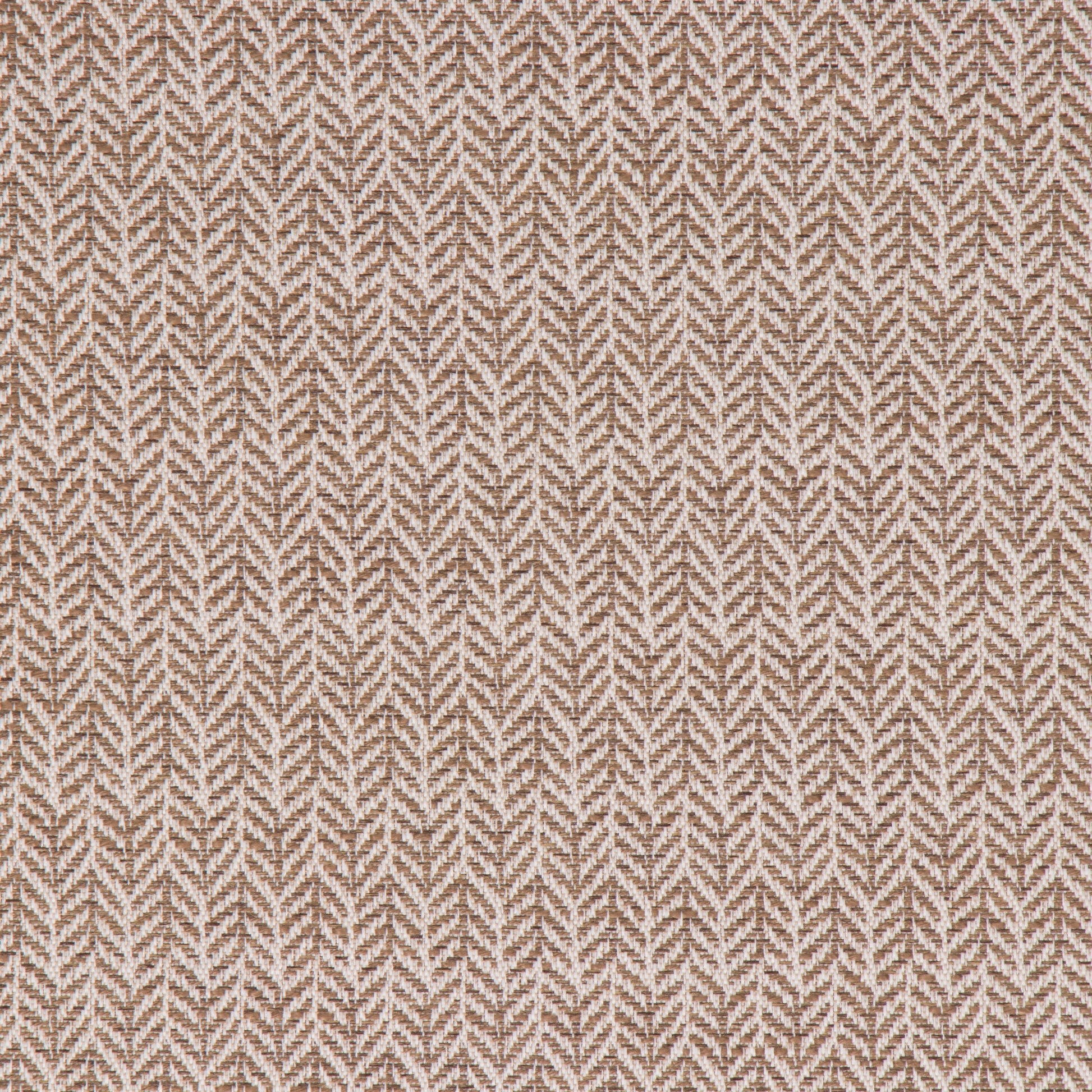Festoon Birch - Fabricforhome.com