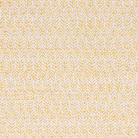 Festoon Lemon - Fabricforhome.com - Your Online Destination for Drapery and Upholstery Fabric
