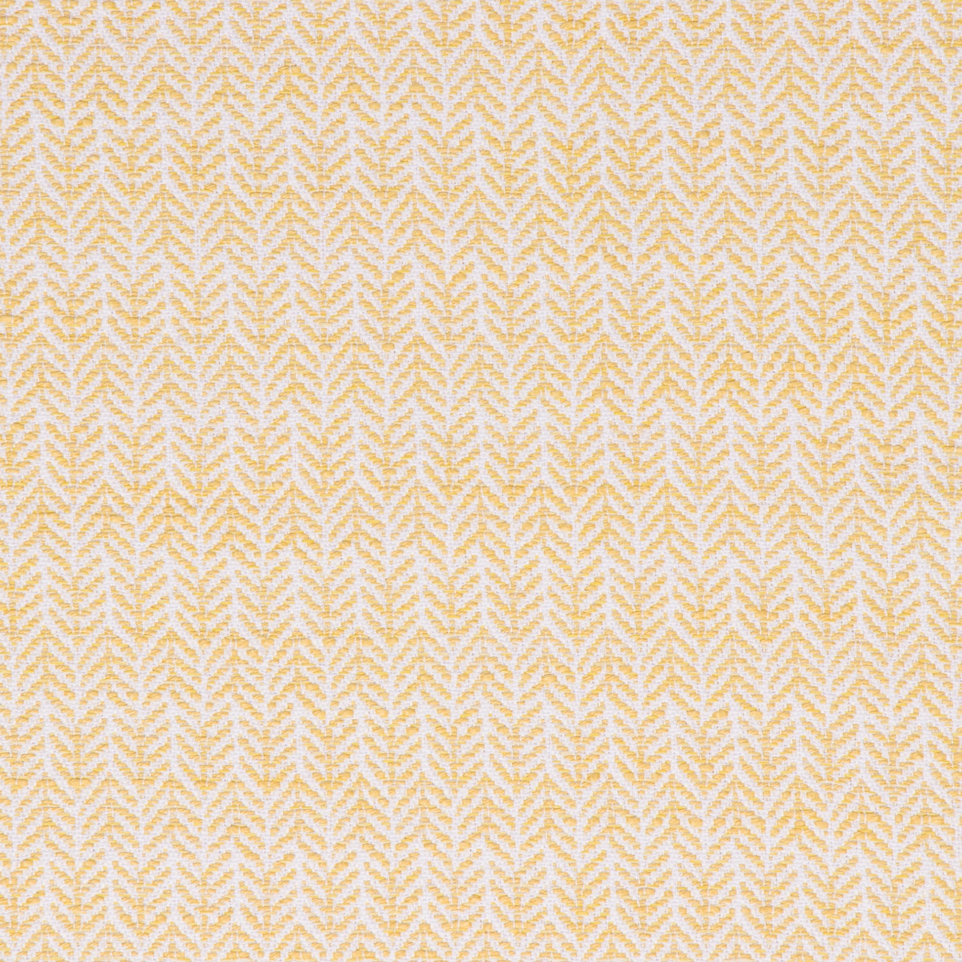 Festoon Lemon - Fabricforhome.com