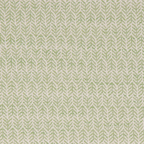 Festoon Lime - Fabricforhome.com - Your Online Destination for Drapery and Upholstery Fabric