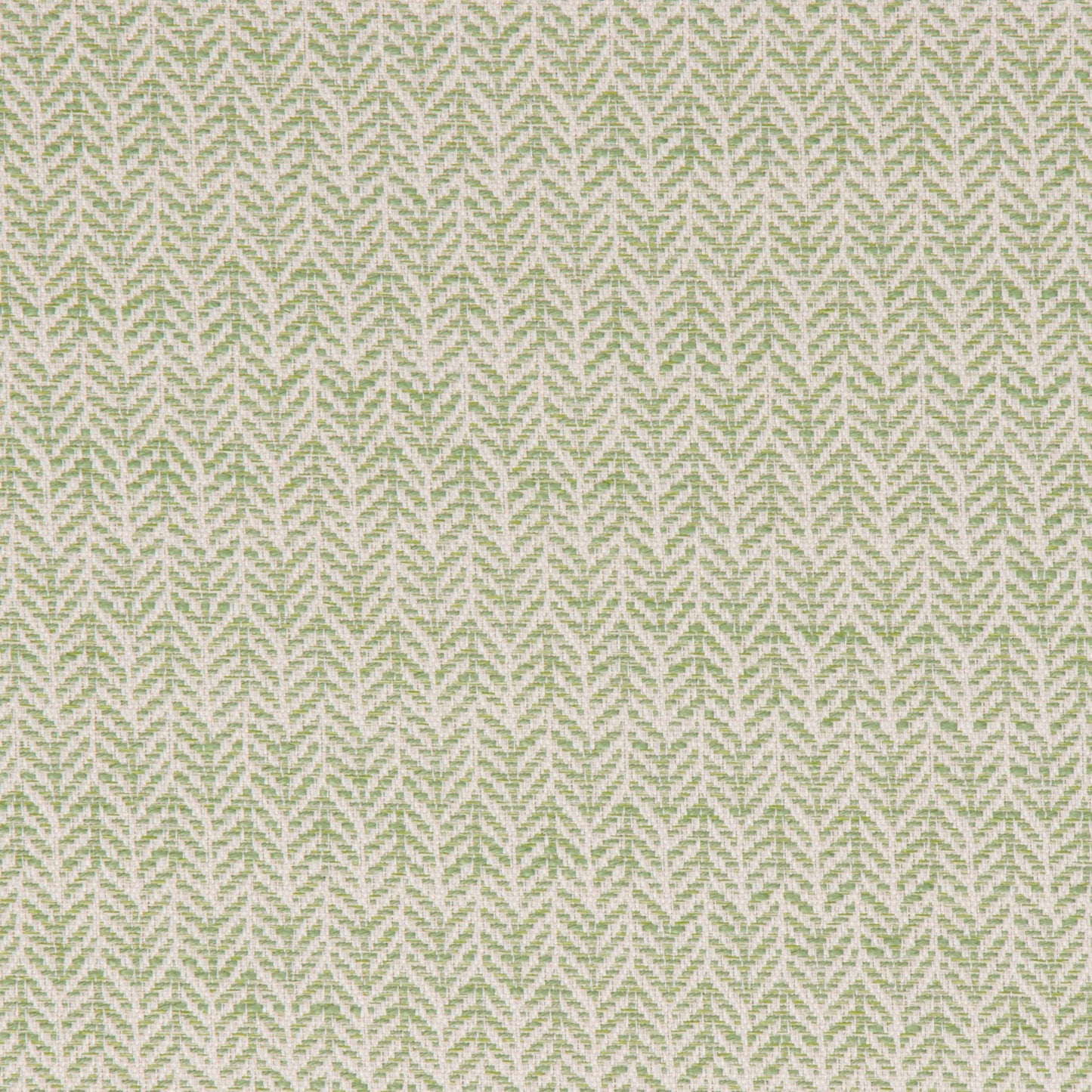 Festoon Lime - Fabricforhome.com