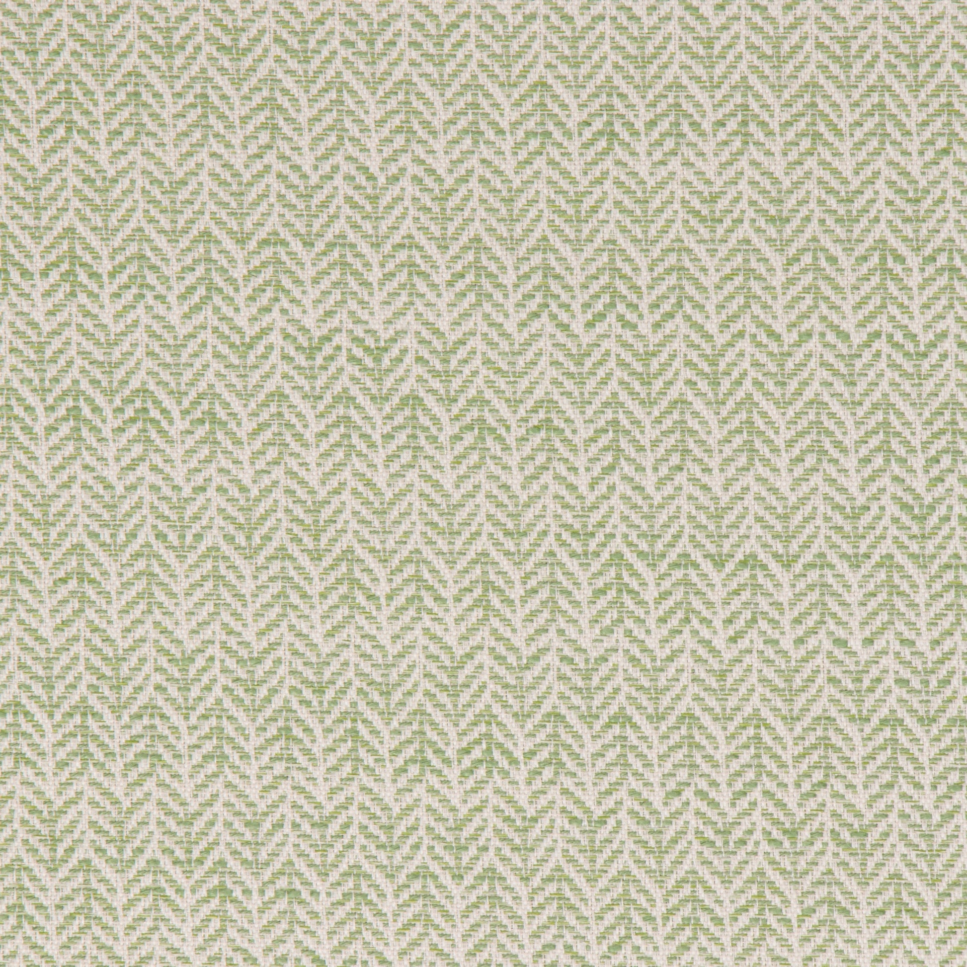 Festoon Lime - Fabricforhome.com