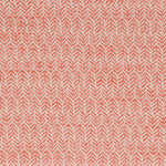 Festoon Persimmon - Fabricforhome.com - Your Online Destination for Drapery and Upholstery Fabric