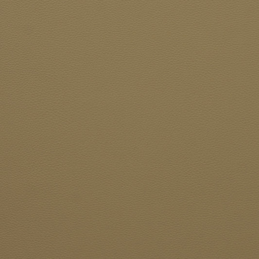 Force Latte - Fabricforhome.com