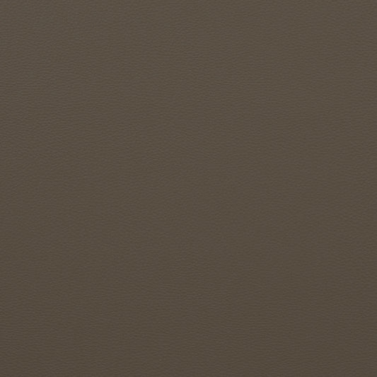 Force Titanium