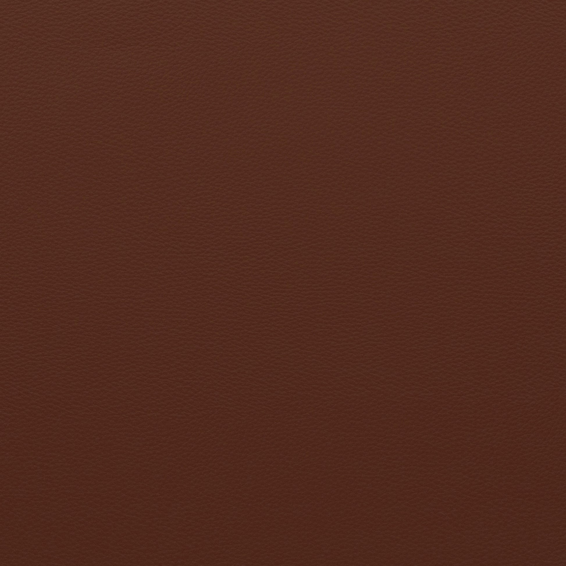 Force Rust - Fabricforhome.com
