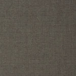 Strong Silver Lining - Fabricforhome.com - Your Online Destination for Drapery and Upholstery Fabric