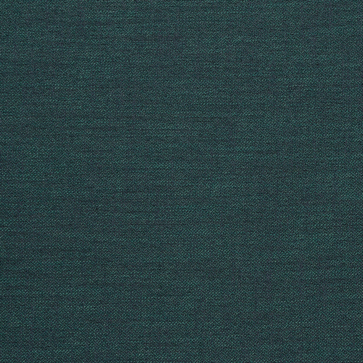 Priority Peacock