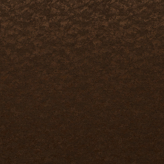 Quinlan Hazelnut