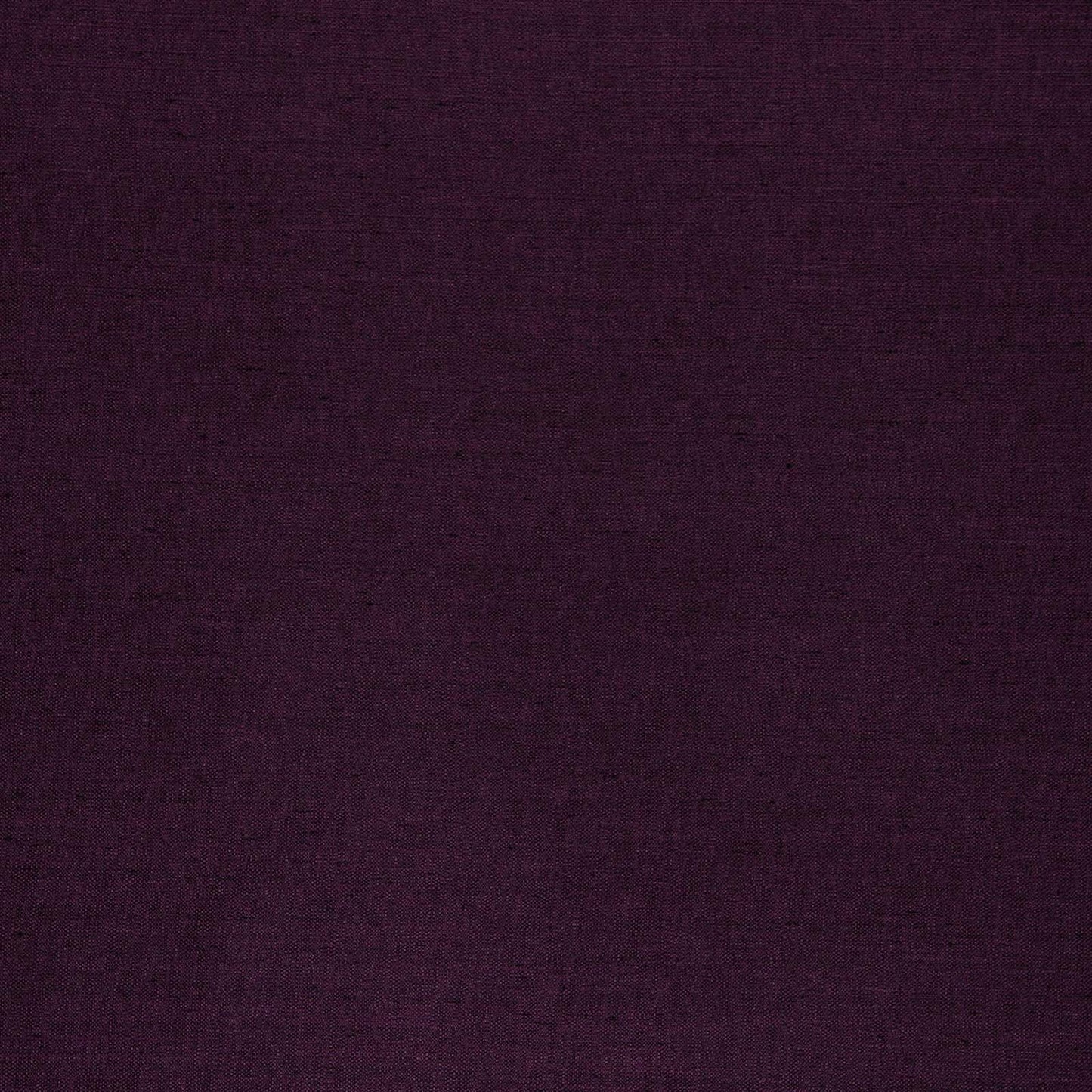 Director Eggplant - Fabricforhome.com