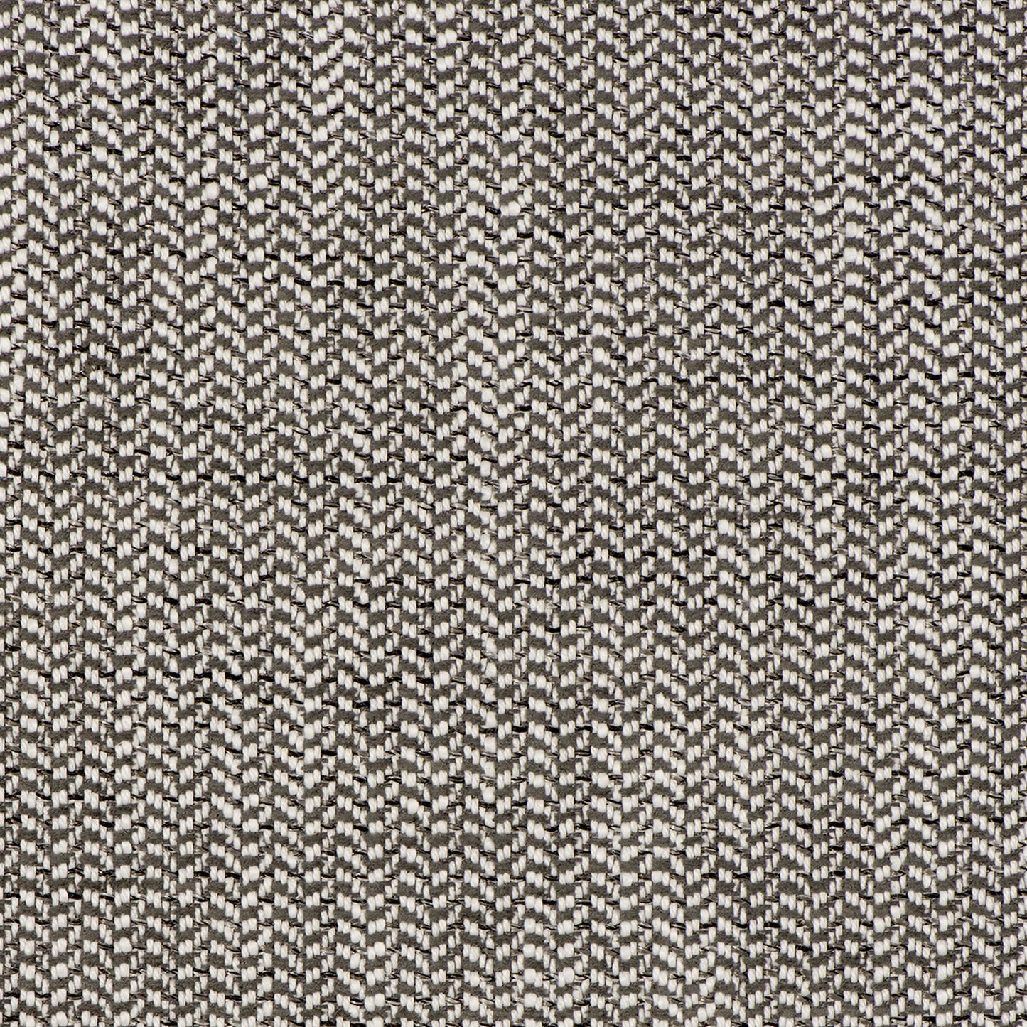 Insideout Peyton Mink - Fabricforhome.com