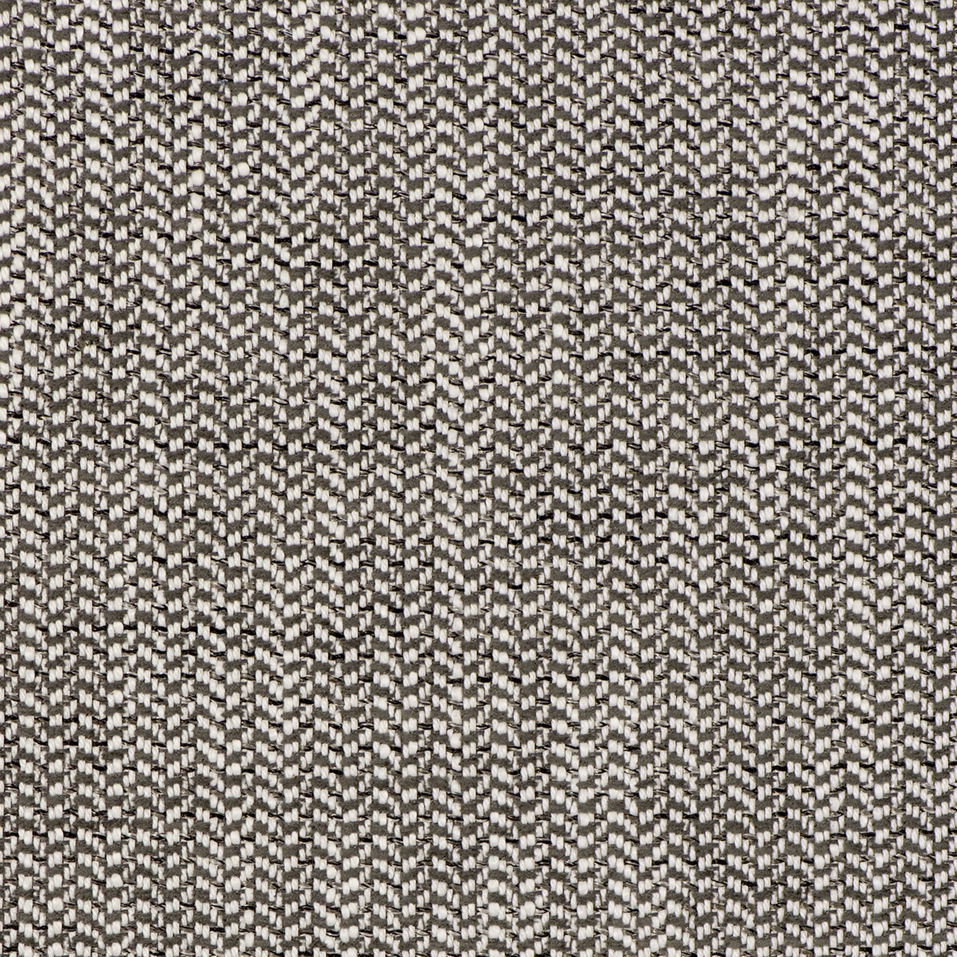 Insideout Peyton Mink - Fabricforhome.com