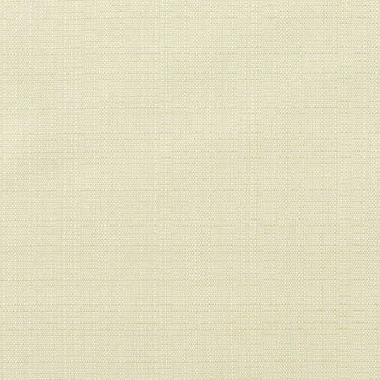 Linen Canvas - Fabricforhome.com