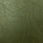 Miles Cactus - Fabricforhome.com - Your Online Destination for Drapery and Upholstery Fabric