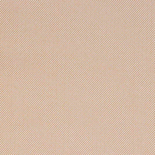 Morada Camel