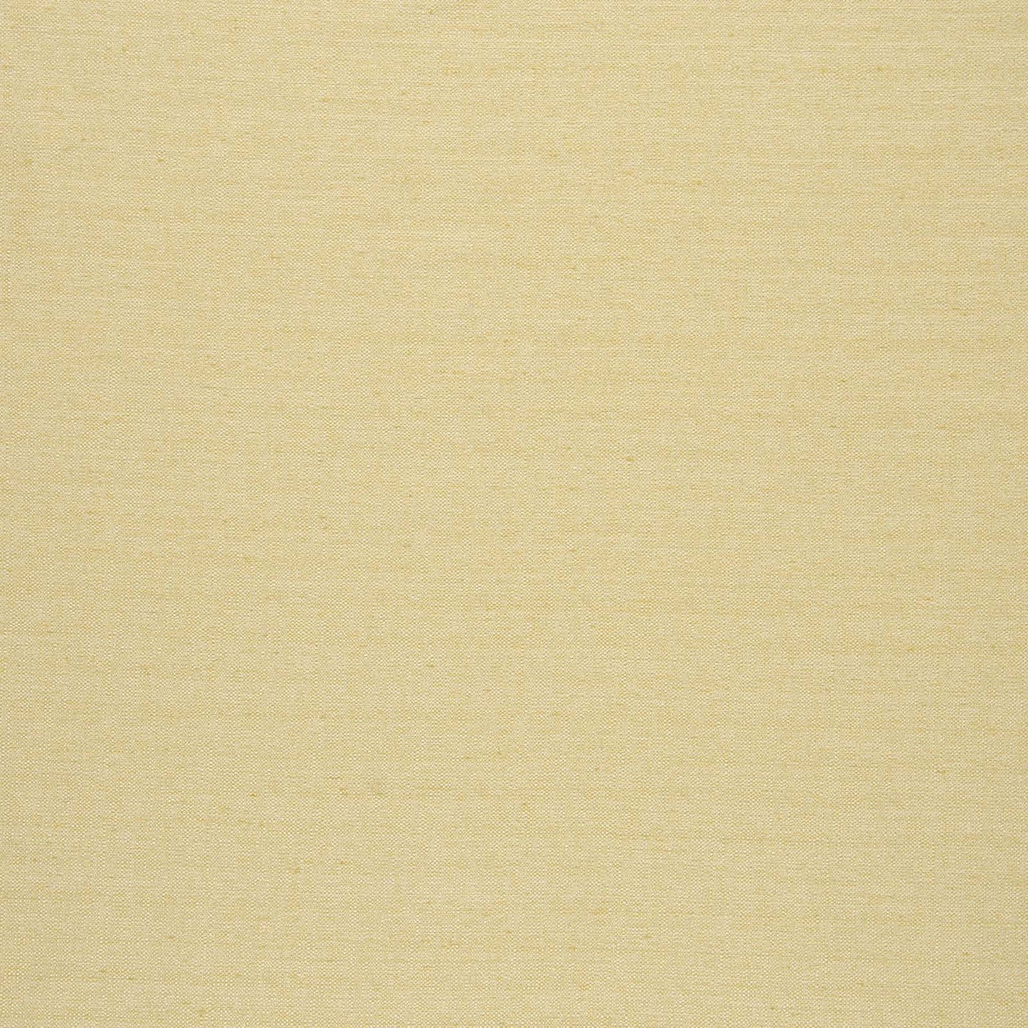 Director Sunshine - Fabricforhome.com