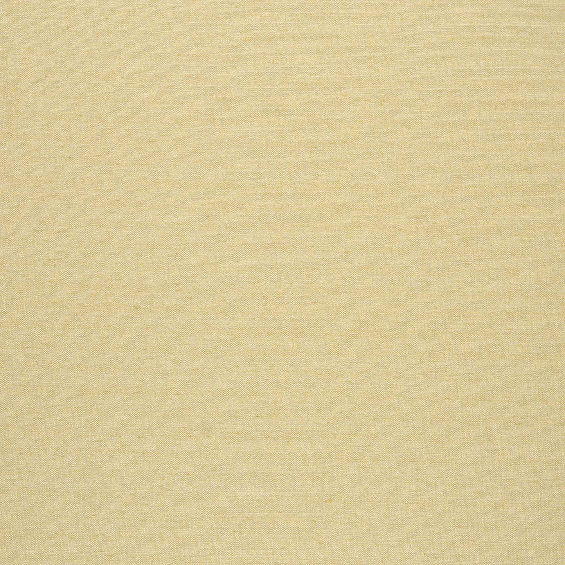 Director Sunshine - Fabricforhome.com