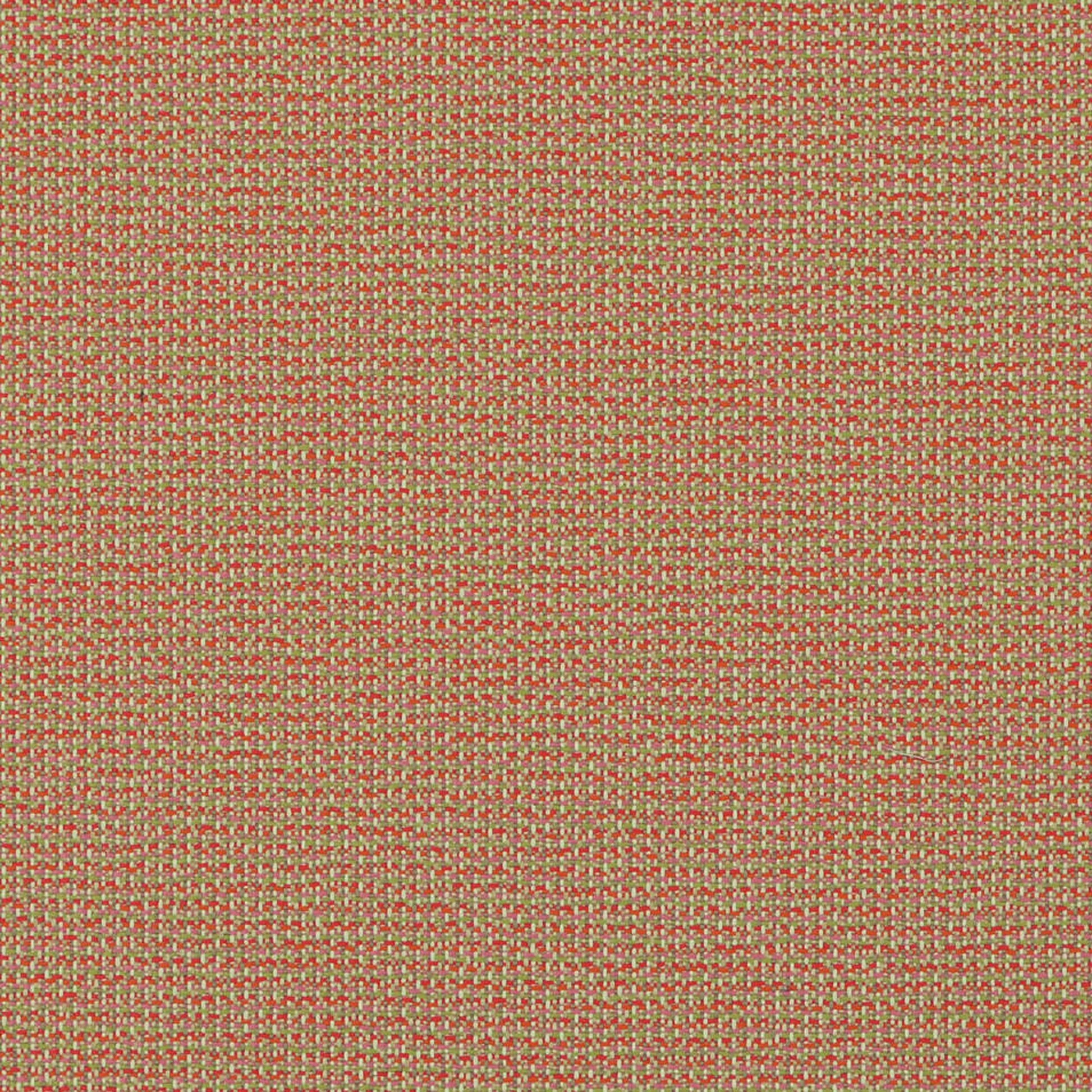 Od-Nev Azalea - Fabricforhome.com