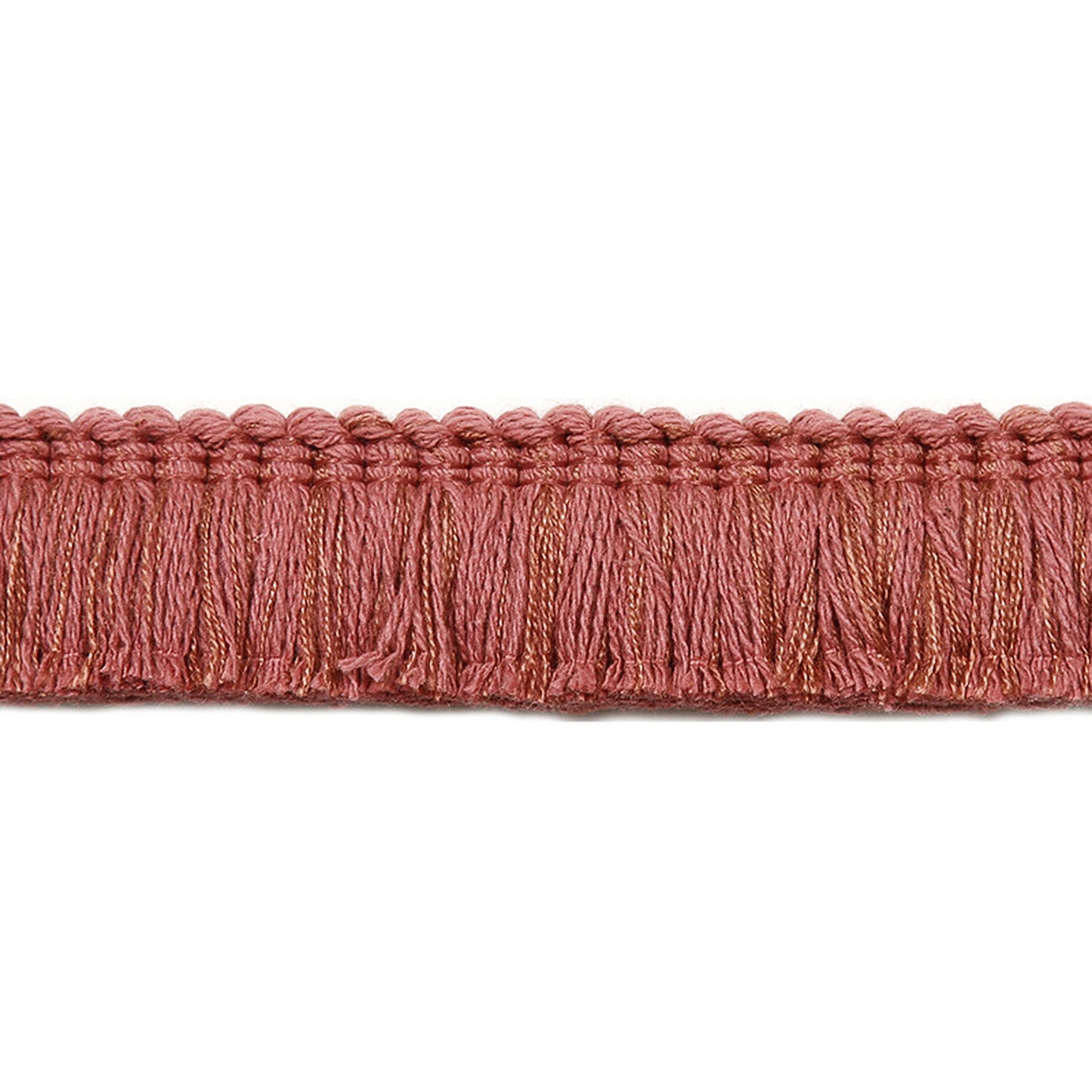 Ollie Brush Coral