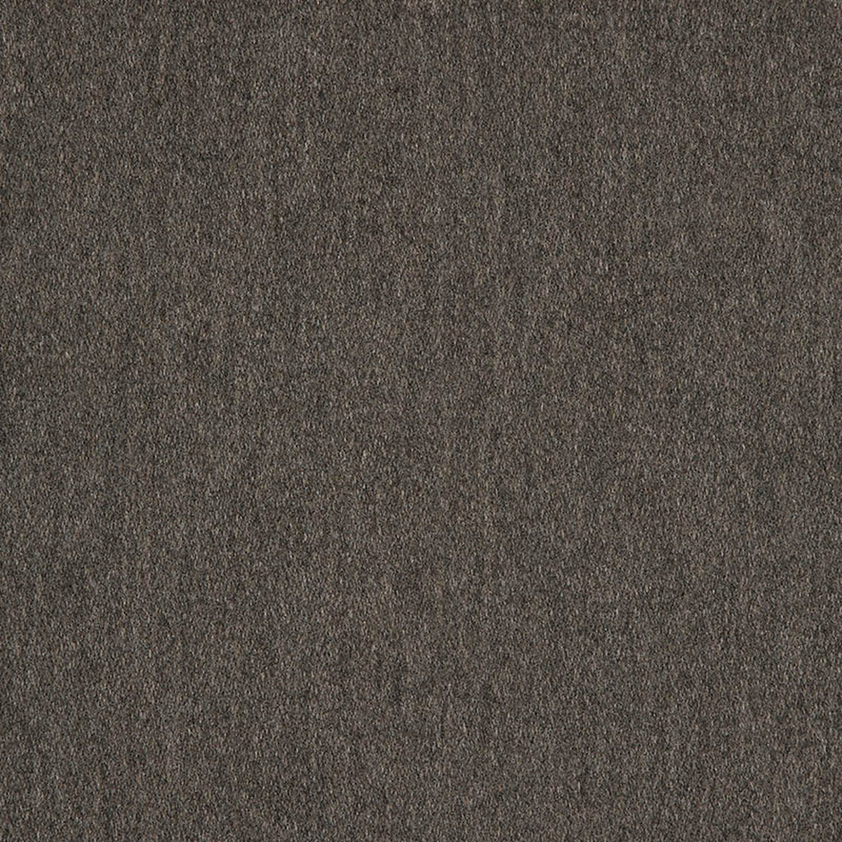 Pashmina Coal - Fabricforhome.com
