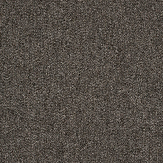 Pashmina Coal - Fabricforhome.com