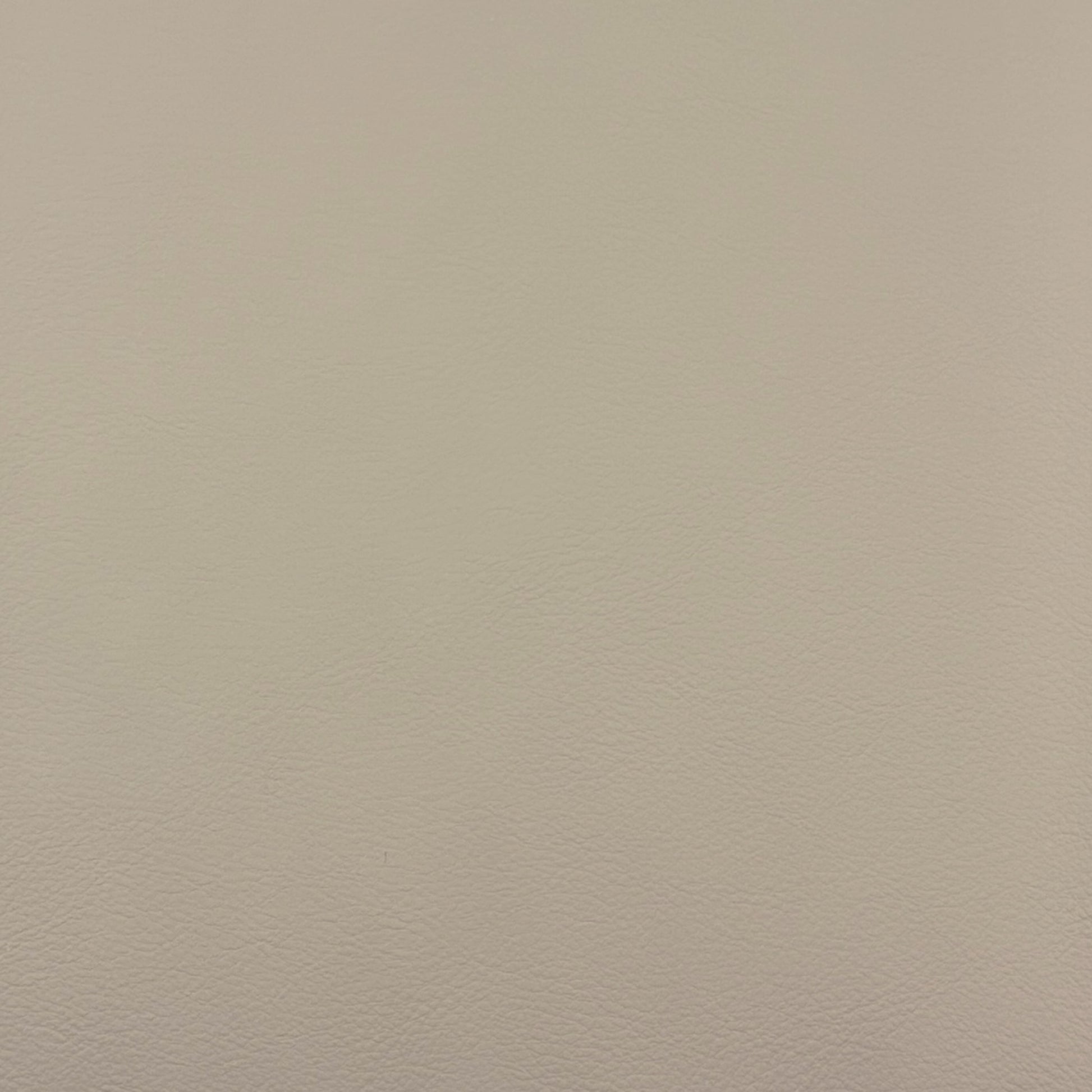 Quest Mushroom - Fabricforhome.com