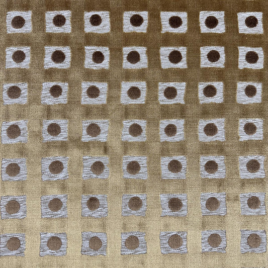 Remy Coin