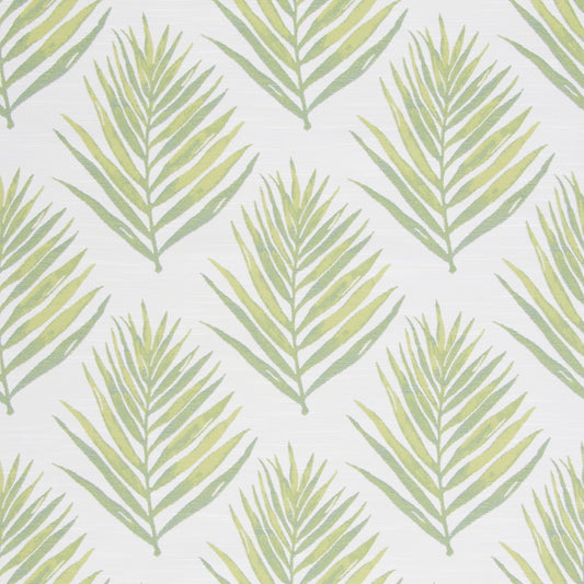 Royal Palm Lime