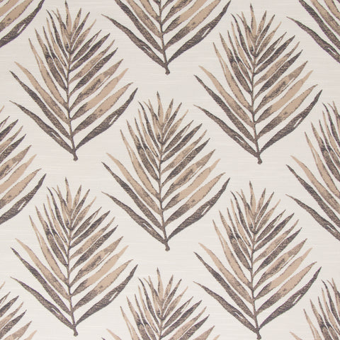 Royal Palm Umber