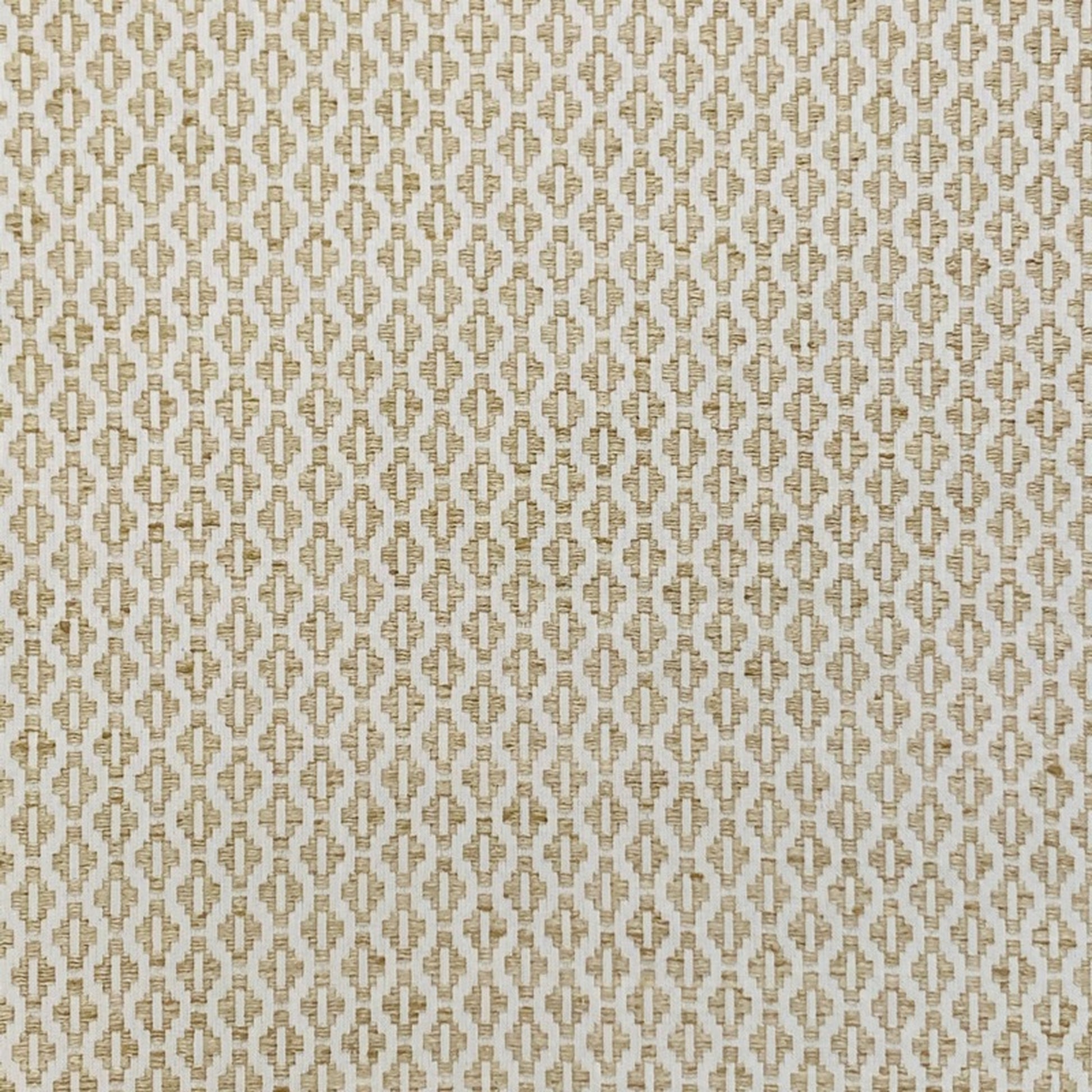Shiva Dune - Fabricforhome.com