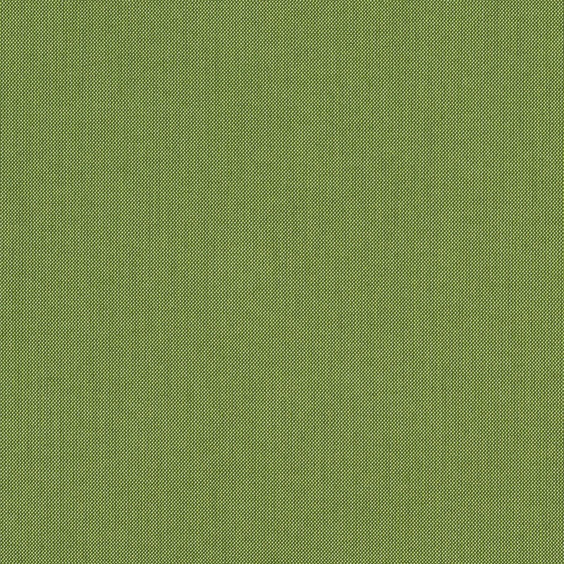 Spectrum Cilantro - Fabricforhome.com